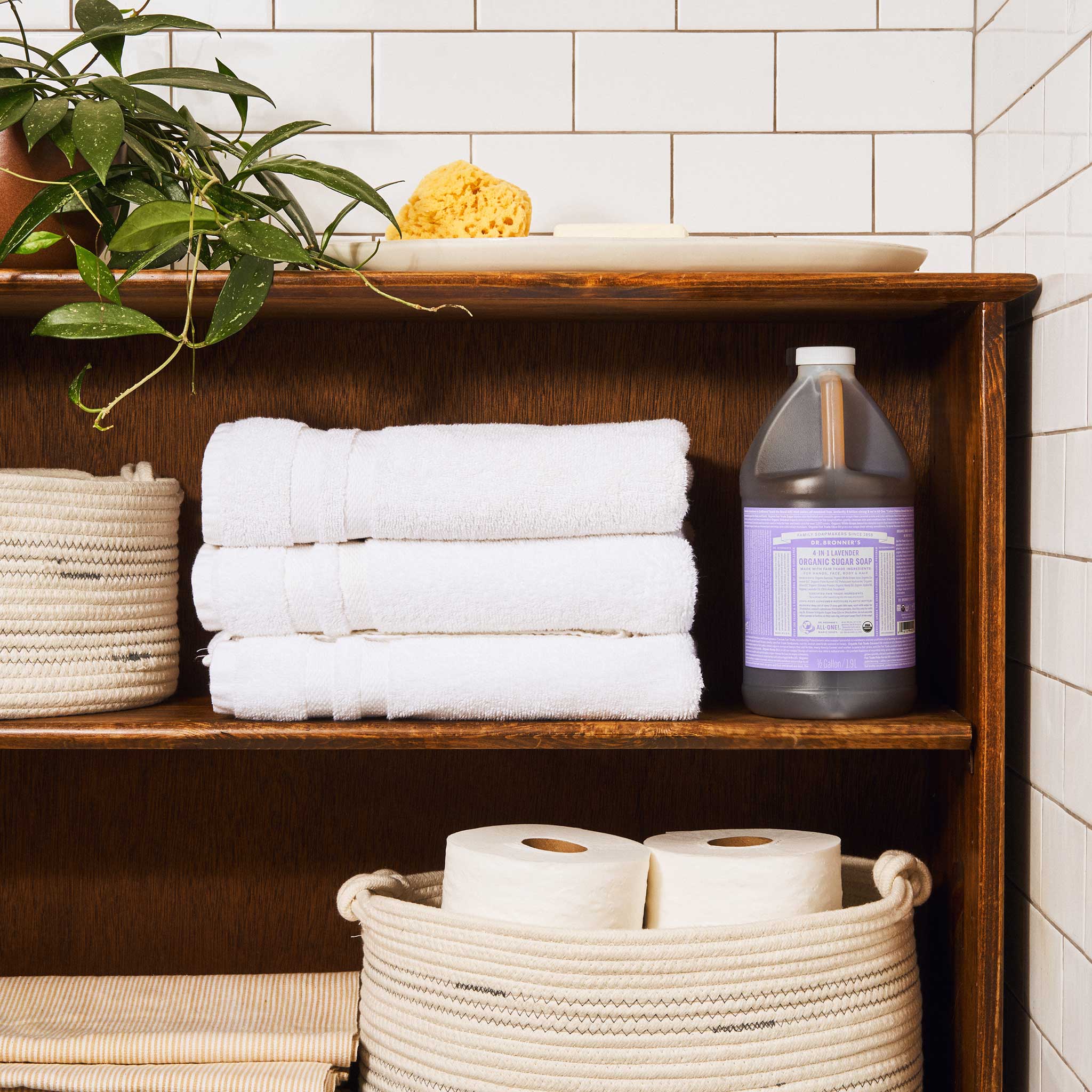 Lavender - Organic Sugar Soaps